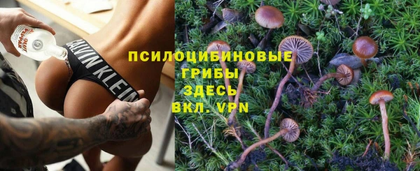 PSILOCYBIN Алексин