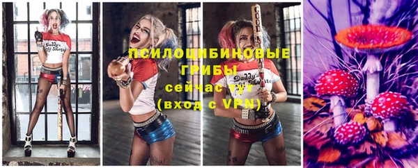 хмурый Алексеевка