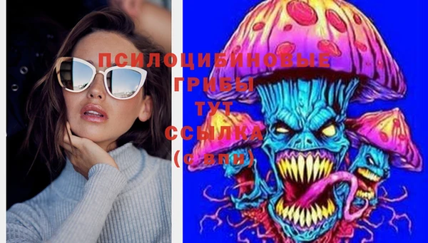 хмурый Алексеевка