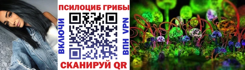 Псилоцибиновые грибы MAGIC MUSHROOMS  купить закладку  Дегтярск 